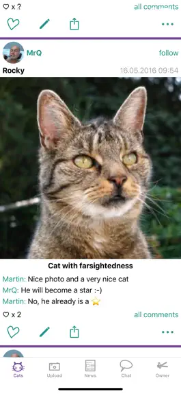 Game screenshot Felisz -a forum for cat photos apk