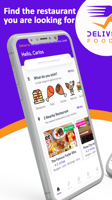 Deliveryfoodpr Screenshot