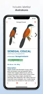 Sasol eBirds South Africa LITE screenshot #5 for iPhone