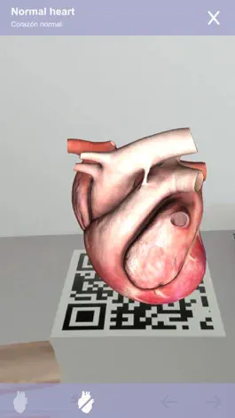 Game screenshot Cardiology 3D Small Animals apk
