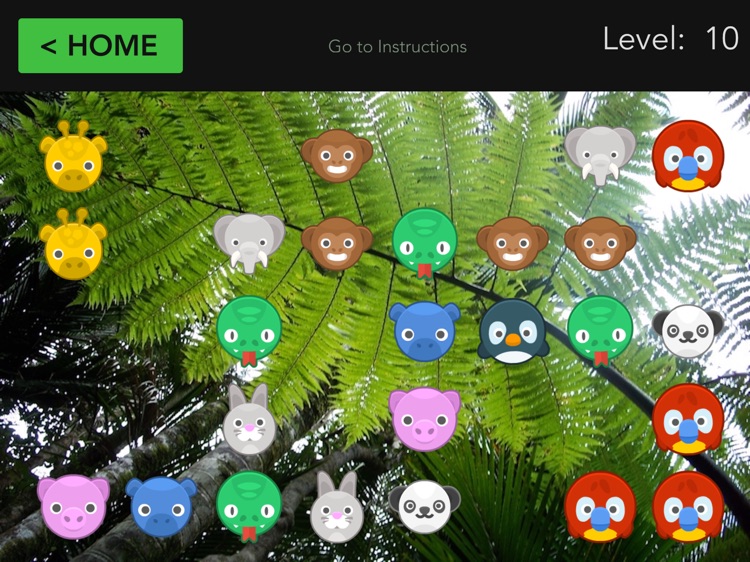 Odd Animal Out screenshot-3