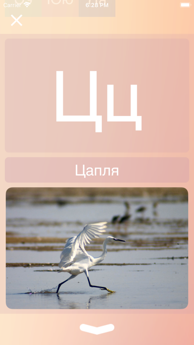 How to cancel & delete 33 Буквы - Азбука from iphone & ipad 2