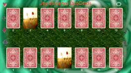 Game screenshot DuoCards jeu de cartes apk