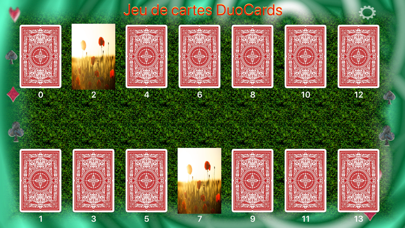 Screenshot #2 pour DuoCards jeu de cartes