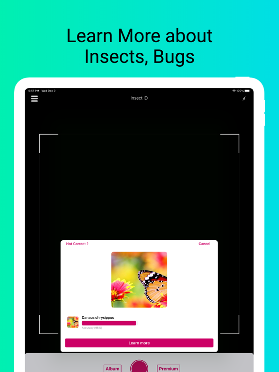 Insect Identifier - 1秒昆虫絵本のおすすめ画像3