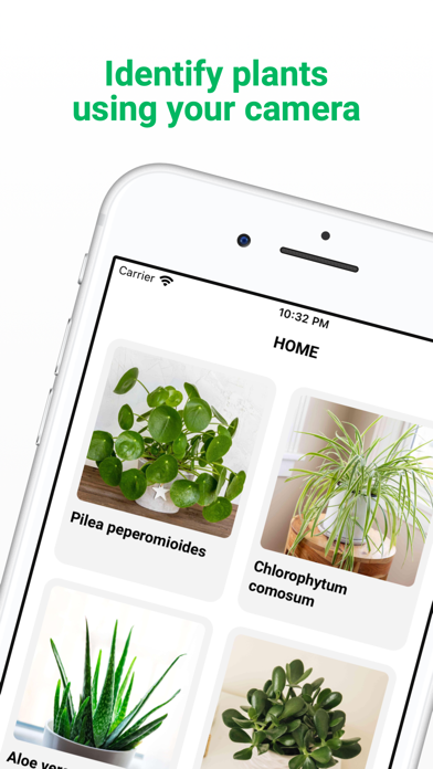 Plant ID - Identify Plants Screenshot
