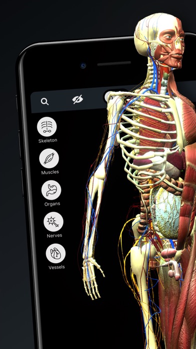 人体解剖・アトラス 3D：筋肉と骨格のおすすめ画像1