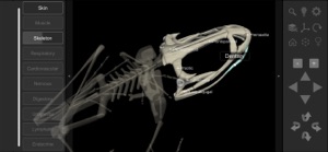 3D Frog Skeleton screenshot #6 for iPhone