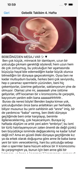 Game screenshot Gebelik hamilelik takibi hack