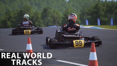 Kart Kraft -Street Racing Tour Screenshot