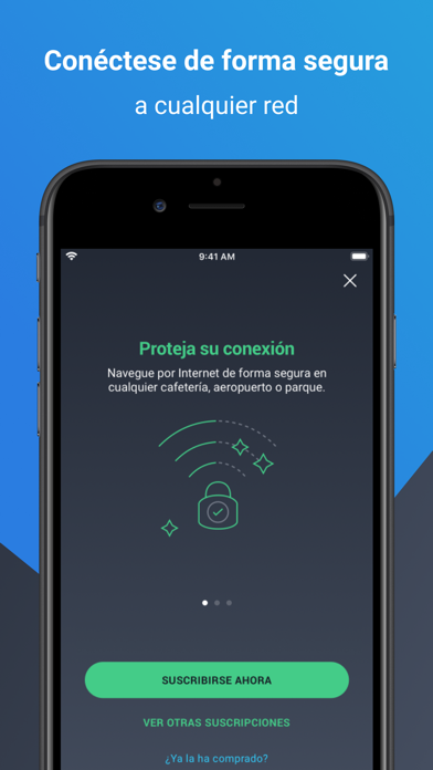 AVG Secure VPN y Seguridad