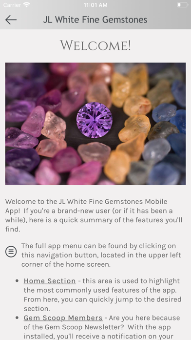 JL White Fine Gemstones Screenshot