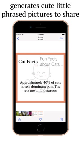 Cat Facts:Fun Facts about Catsのおすすめ画像3