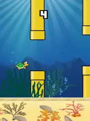 splashy turtle ipad resimleri 1