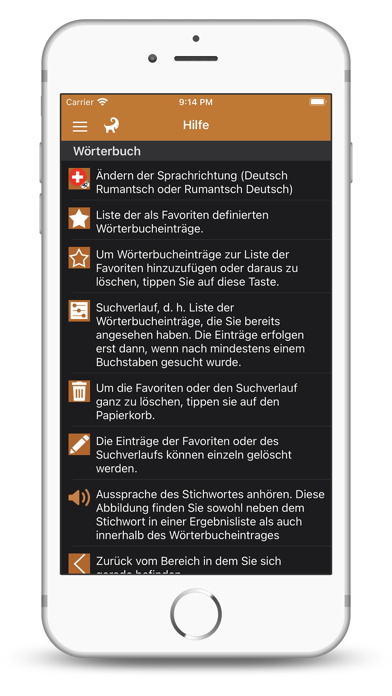 Dicziunari Rumantsch Vallader Screenshot