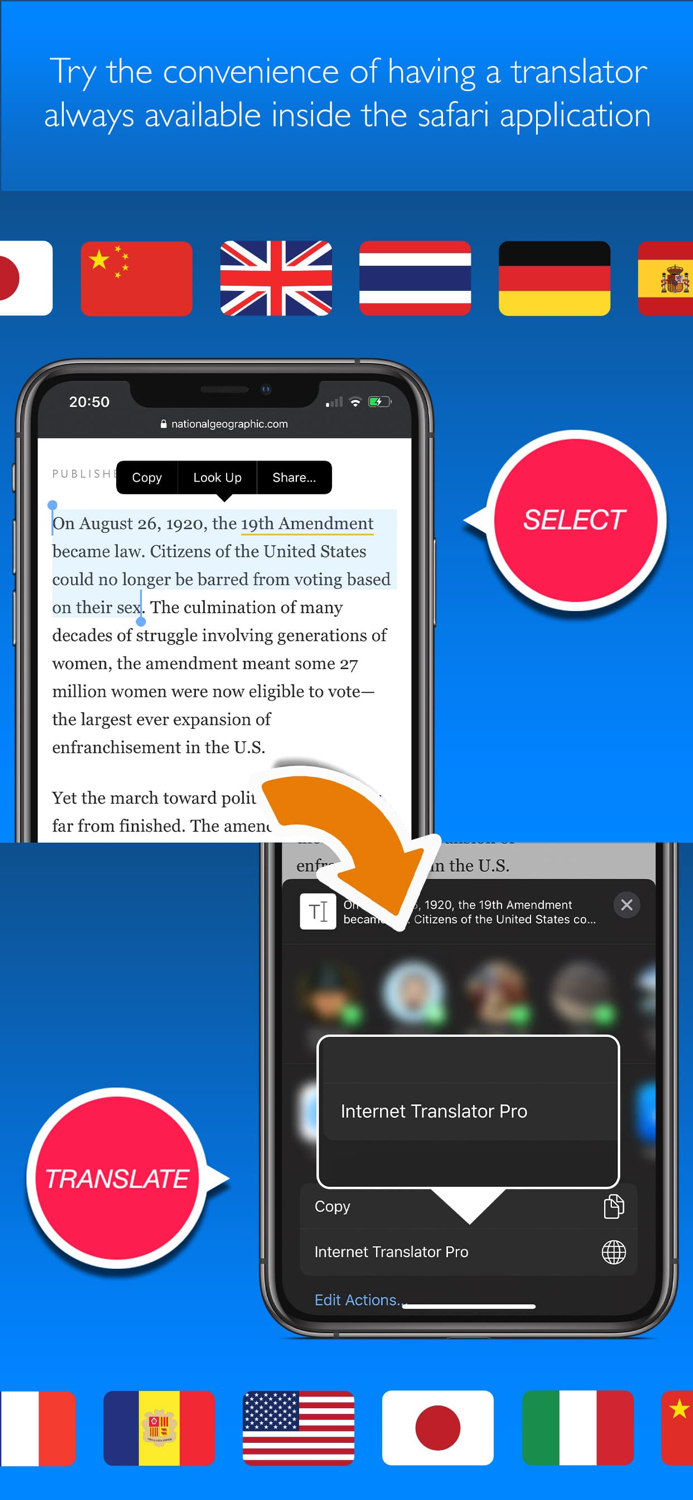 Internet Translator Pro