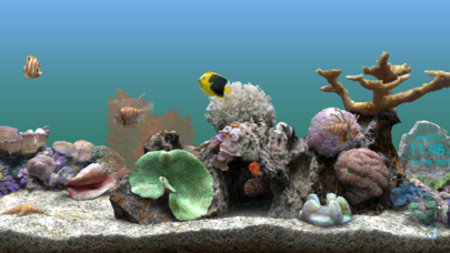 Marine Aquarium 2.6 screenshot1