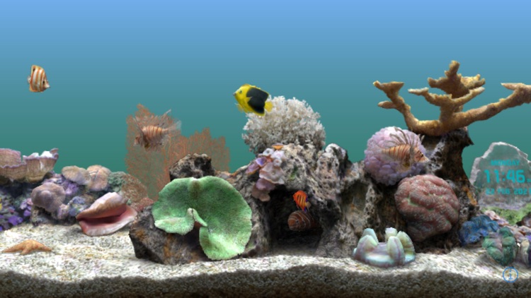 Marine Aquarium 2.6