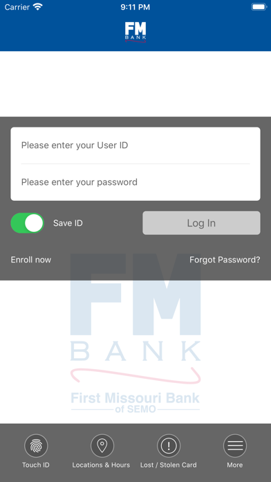 First Missouri Bank of SEMO Screenshot