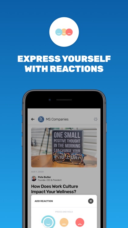 Collectiv for MS Companies screenshot-3