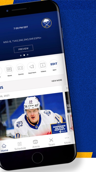 Buffalo Sabres Screenshot