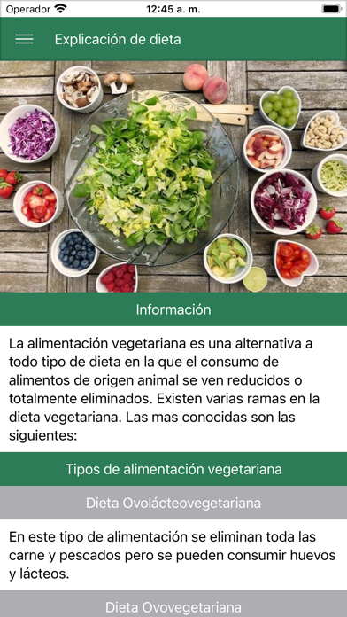 Dieta Vegetariana & Adelgazar Screenshot