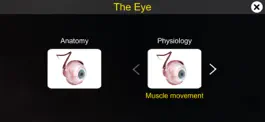 Game screenshot The Eye (Anatomy & Physiology) mod apk