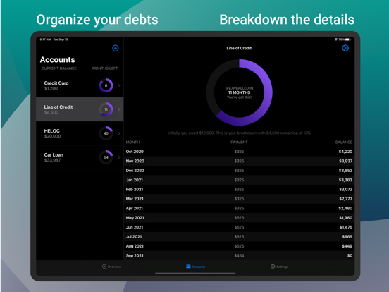 Debt Zero Screenshots