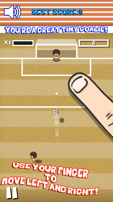Brazil Tiny Goalkeeper