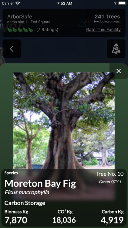 CMyTrees screenshot-3