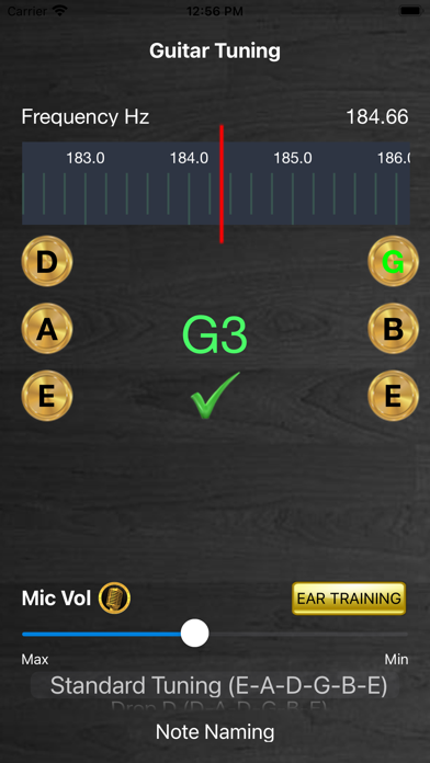 Screenshot #1 pour Guitar Tuning Tuner