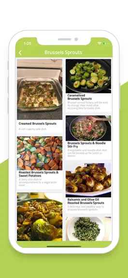 Game screenshot Easy Veggie-healthy recipes apk