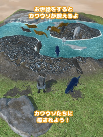 カワウソ育成ゲームのおすすめ画像3