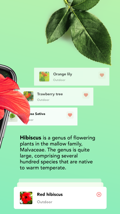 Screenshot #2 pour Plant identification - Plants
