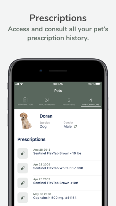 Willow Grove Animal Clinic Screenshot