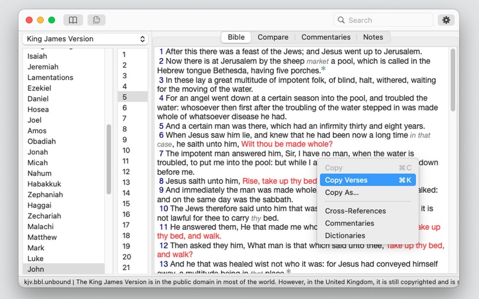 Unbound Bible - 5.3.1 - (macOS)