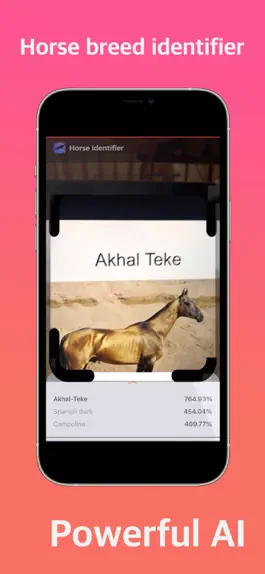 Game screenshot Horse Identifier apk