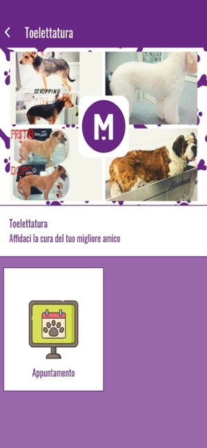 Manna Pet Store(圖2)-速報App