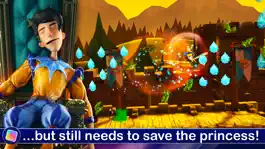 Game screenshot The Sleeping Prince - GameClub hack