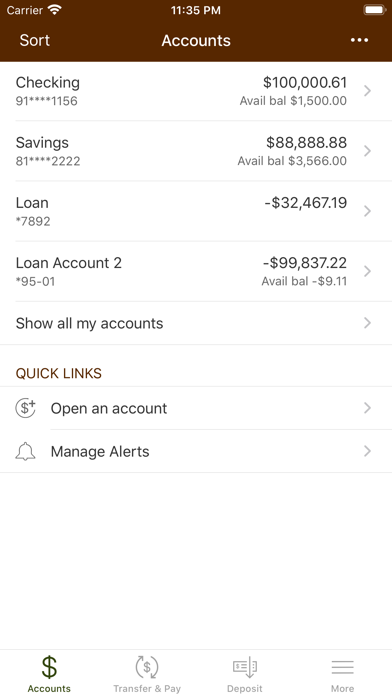 First National Bank in Tremont Screenshot