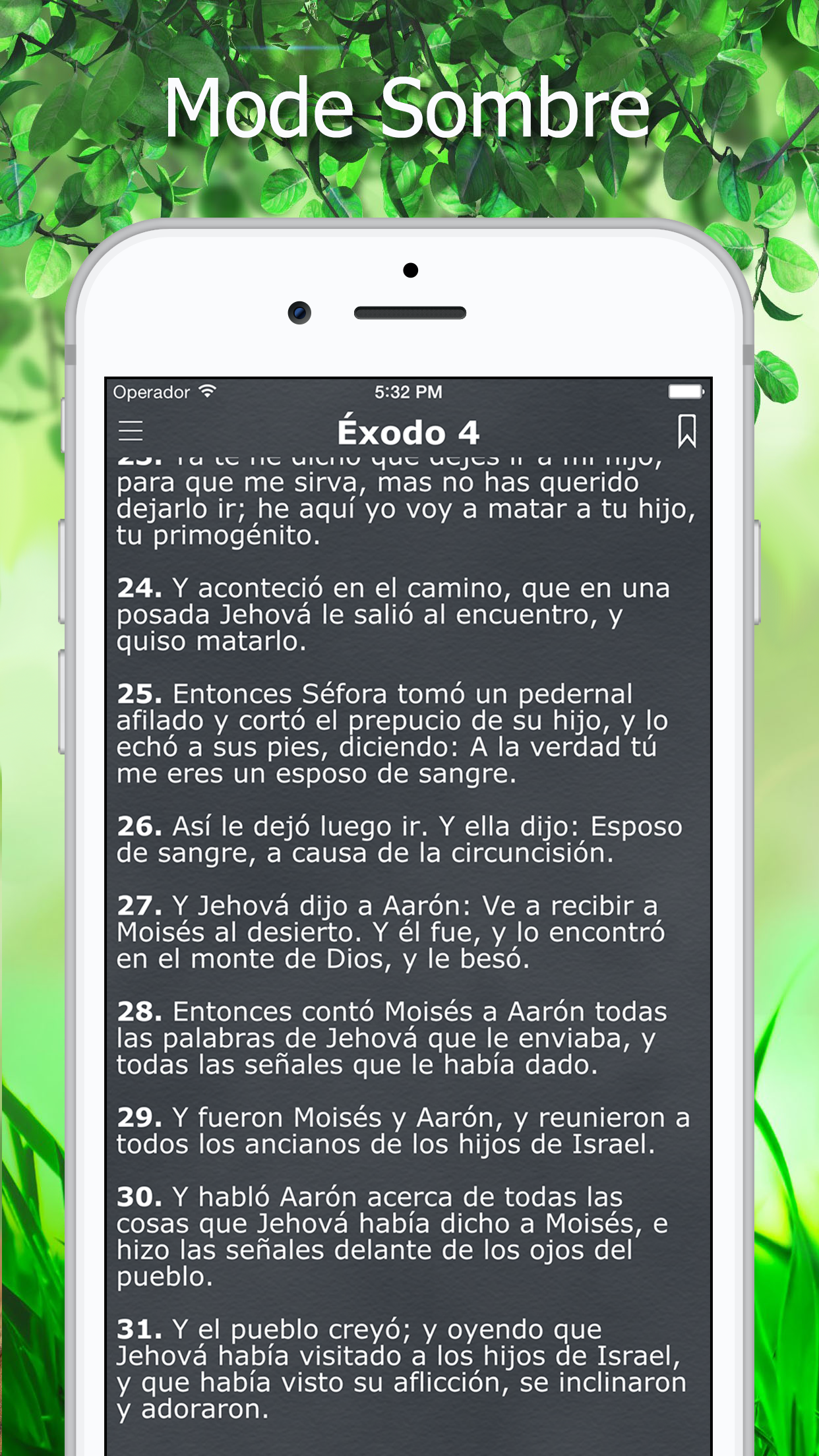 La Biblia Reina Valera Español screenshot 3