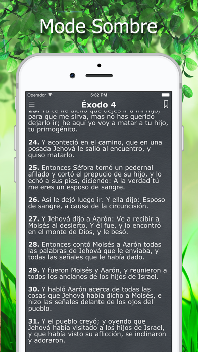 La Biblia Reina Valera Español Screenshot