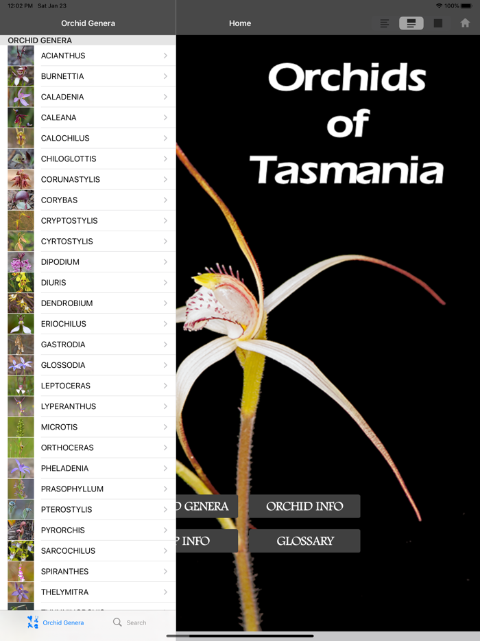 Orchids of Tasmania