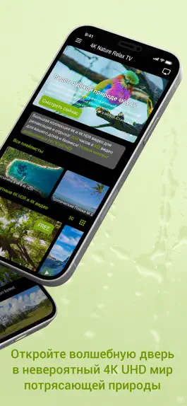 Game screenshot 4K Nature Relax TV: Релакс ТВ apk