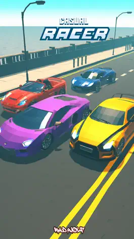 Game screenshot Casual Racer mod apk