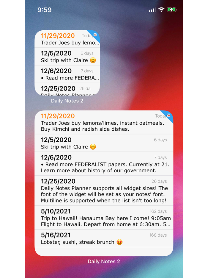 Daily Notes Planner 2