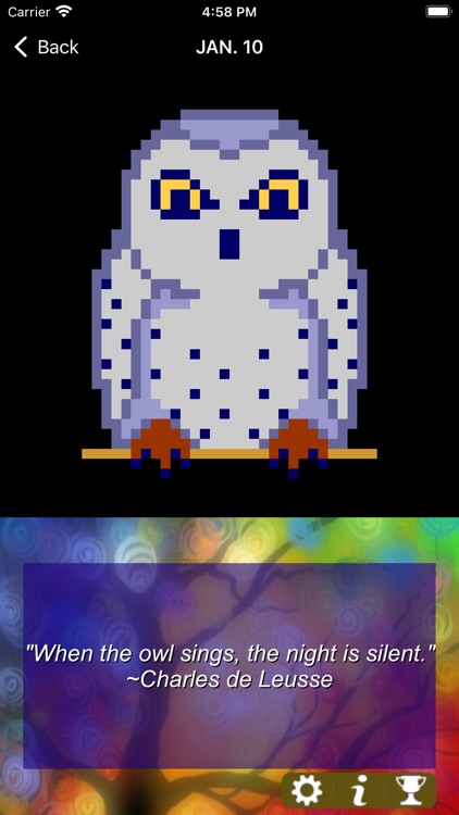 PathPix Year