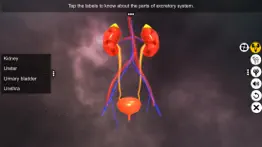 urinary system physiology iphone screenshot 2