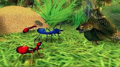 蚂蚁模拟器
