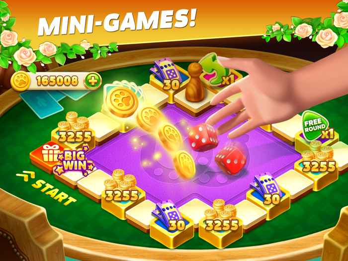 Solitaire Texas Village